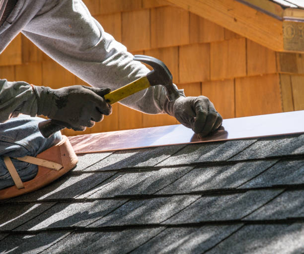 Roof Gutter Cleaning in North Wantagh, NY